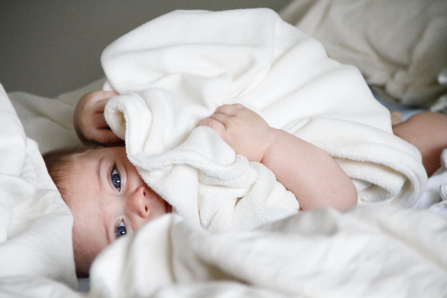 house of tallow baby lying in bed snuggled in white blanket